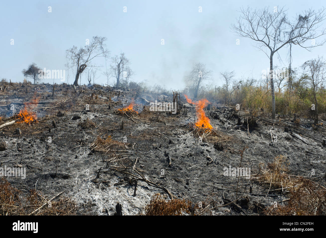 Man slashing vegetation on a burnt hill side after deforestation. Road from Pathein to Mawdin Sun. Irrawaddy delta. Myanmar. Stock Photo