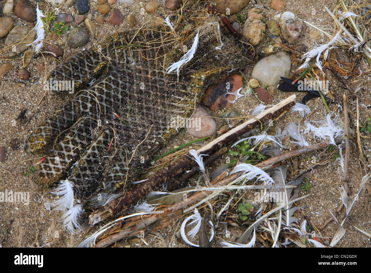 Still life of washed up rubbish on beach Stock Photo - Alamy