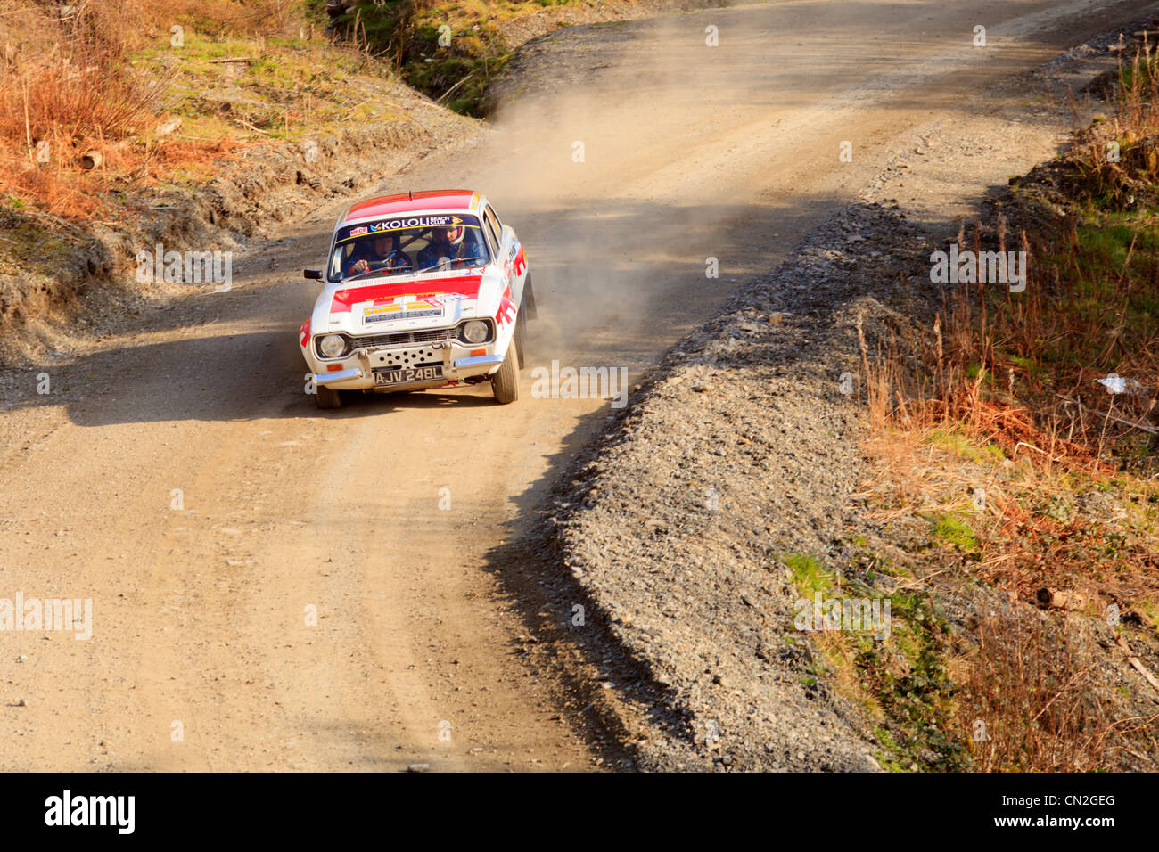 A rally car in the Dyfi Forest During the Bulldog Rally 2012 Stock ...