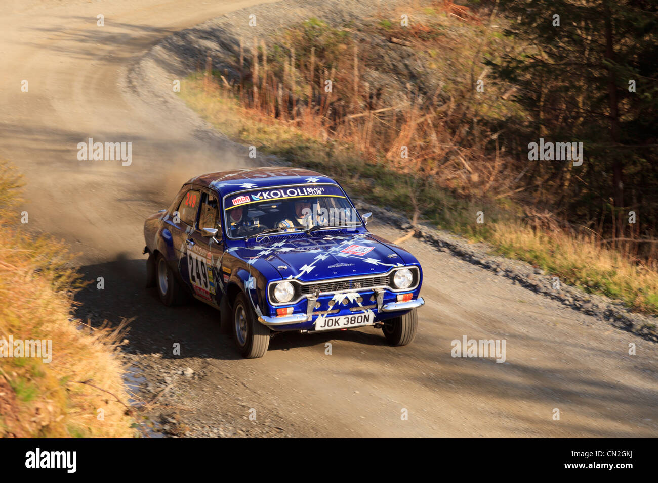 A rally car in the Dyfi Forest During the Bulldog Rally 2012 Stock ...