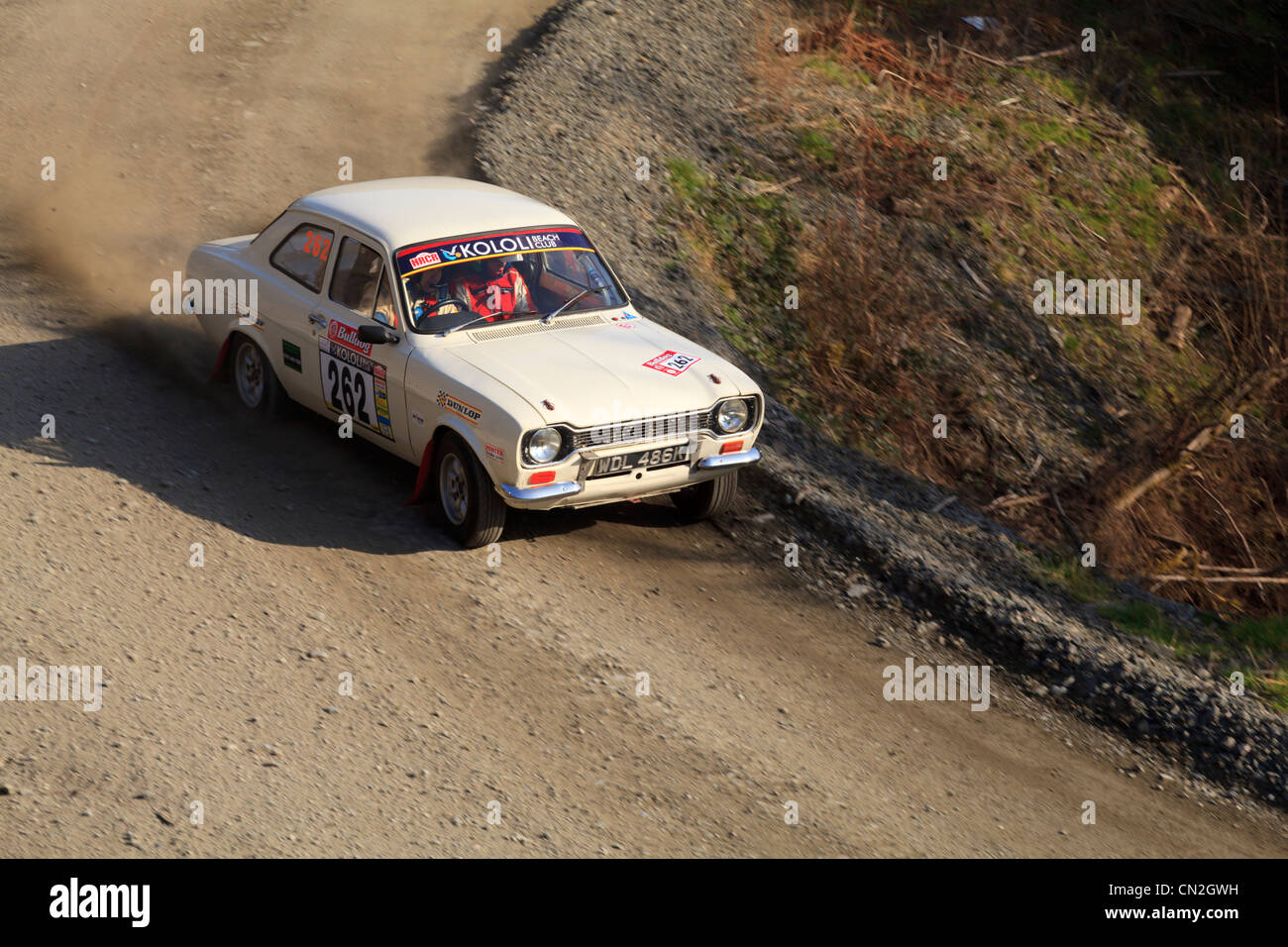 A rally car in the Dyfi Forest During the Bulldog Rally 2012 Stock ...