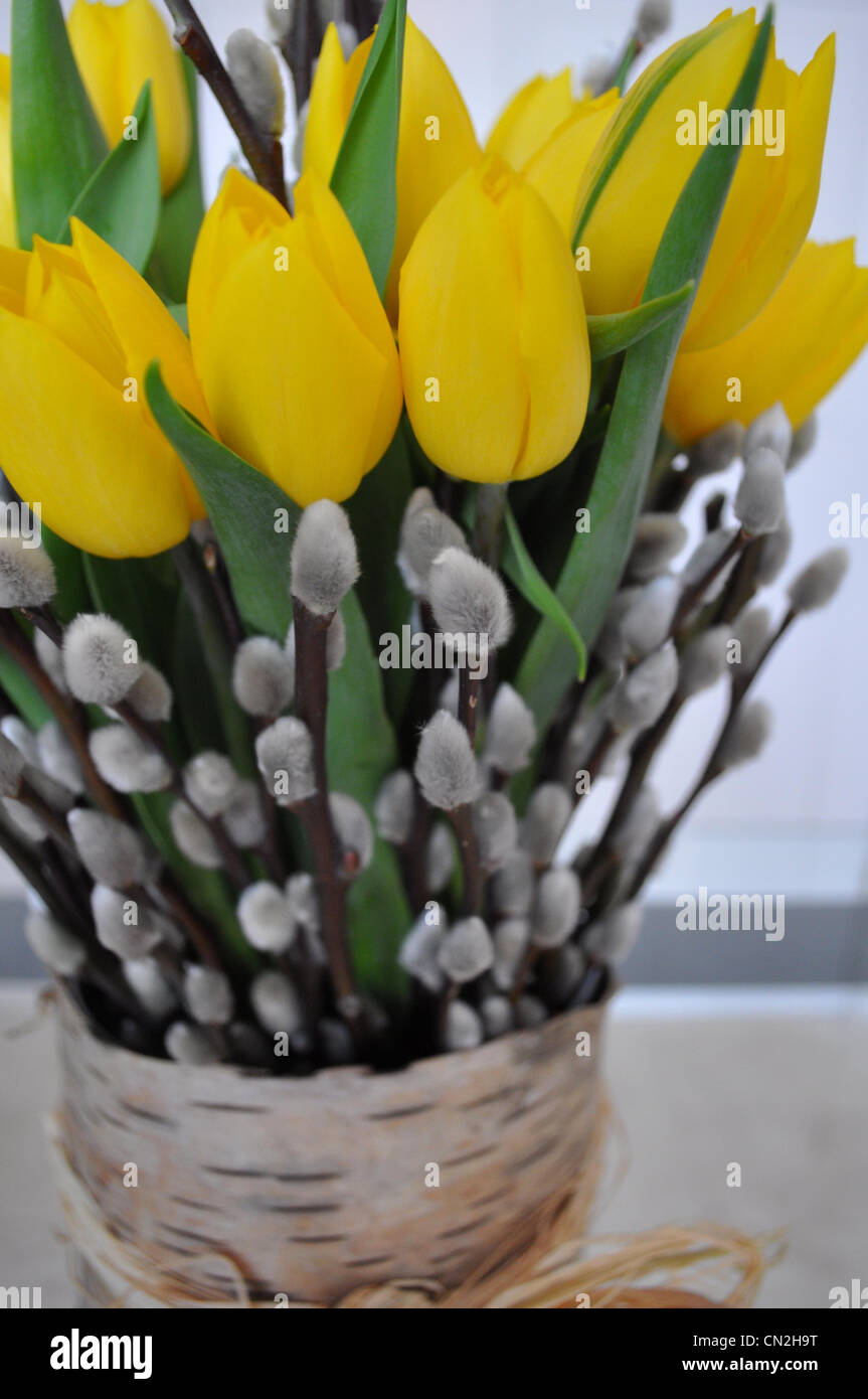 Flower Arranging Stock Photo