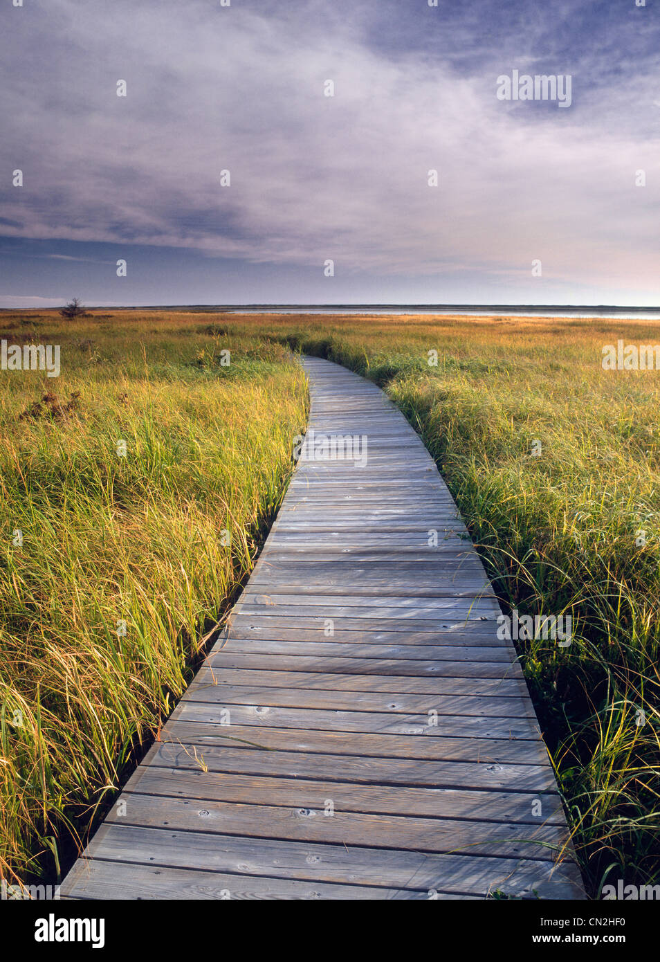 Boardwalk along the Salt Marsh, Kouchibouguac National Park, New