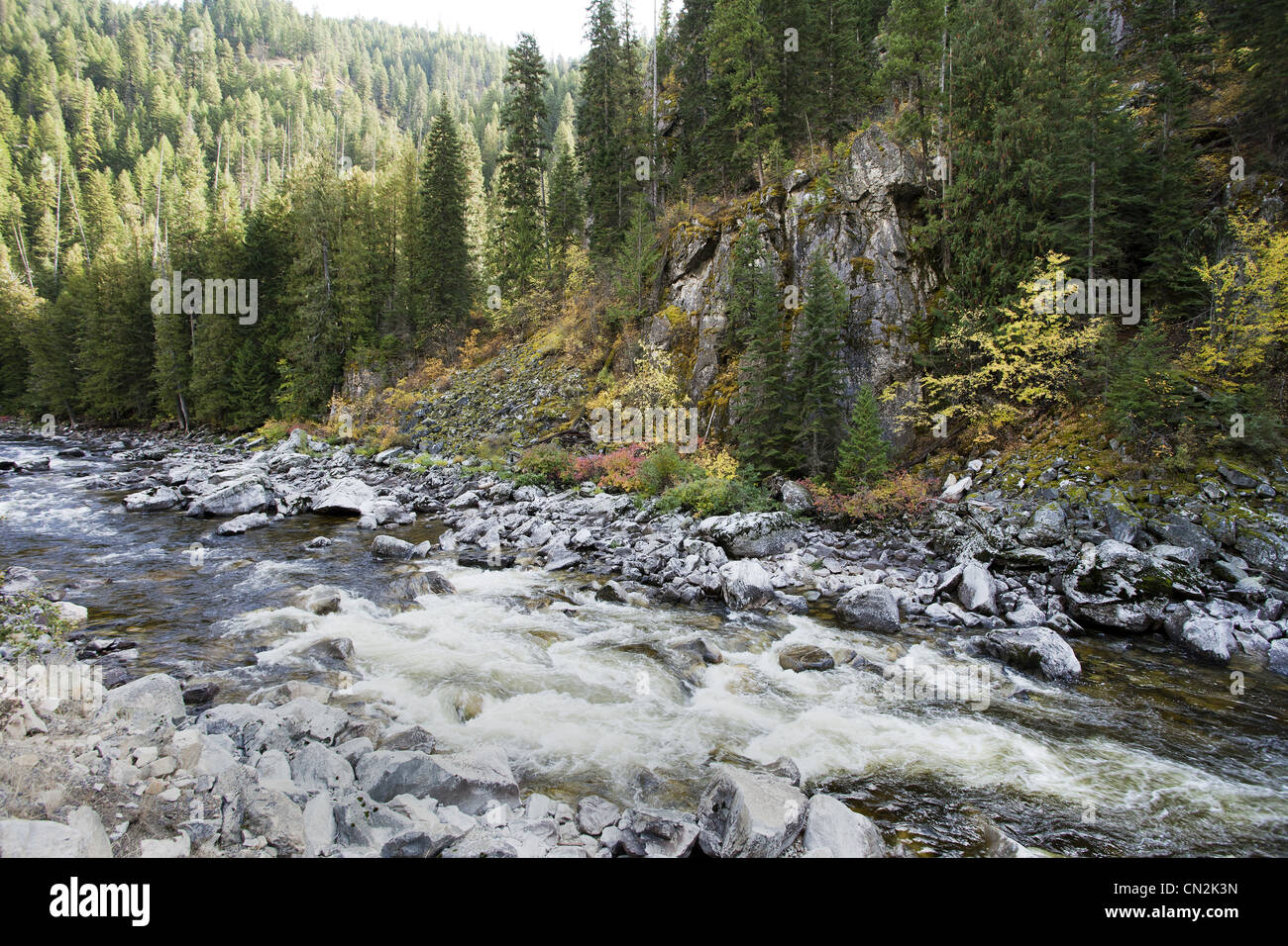 Rocky River in Forest, Montana, USA Stock Photo Alamy