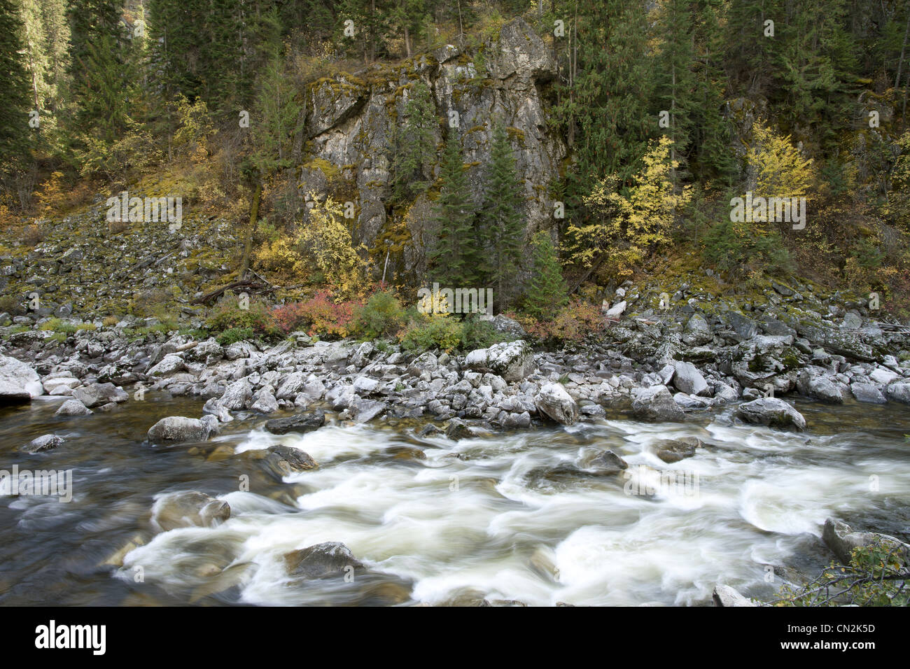 River Along Rocky Terrain in Forest, Montana, USA Stock Photo