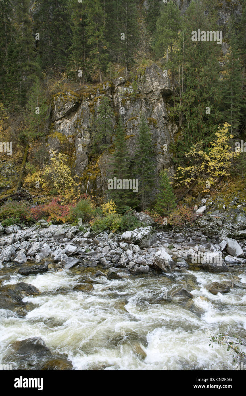 River Along Rocky Terrain in Forest, Montana, USA Stock Photo Alamy