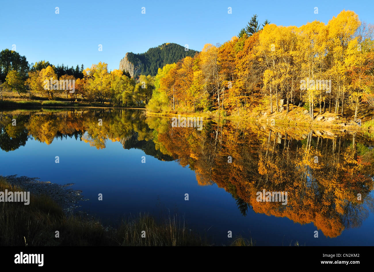 Landscape of water and trees hi-res stock photography and images - Alamy