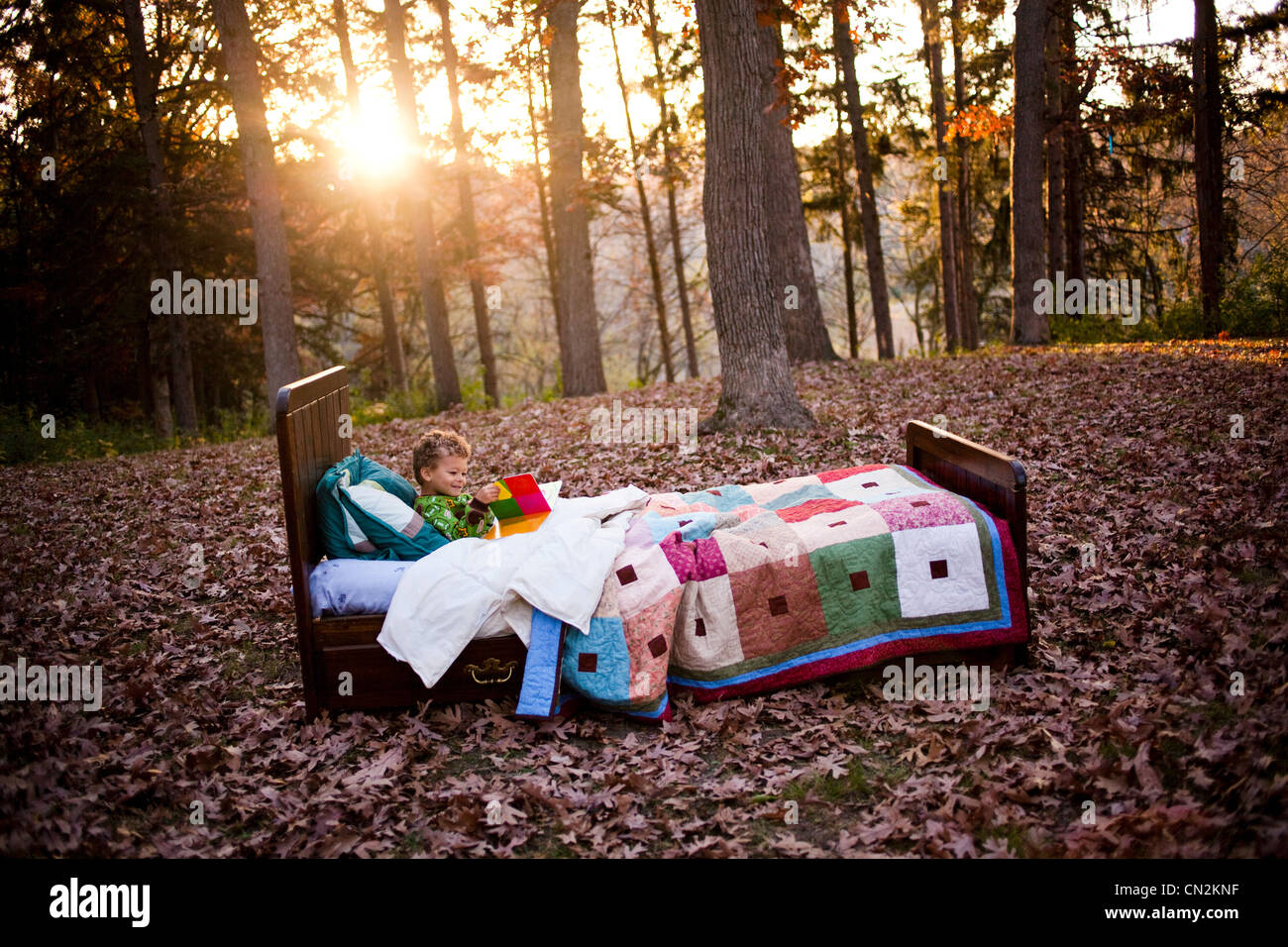 Young boy in bed in forest Stock Photo Alamy