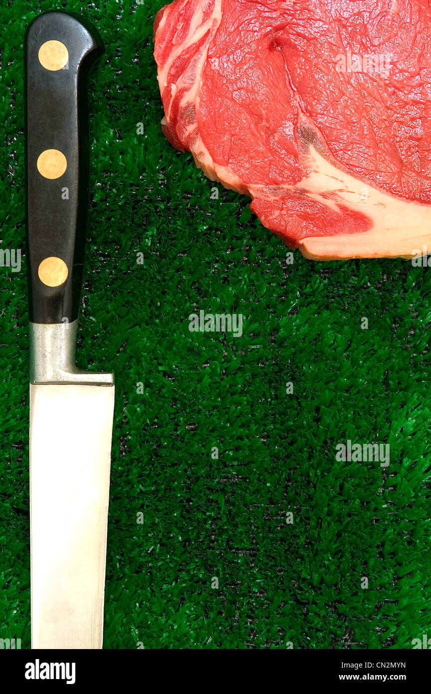 Raw meat and kitchen knife on fake grass Stock Photo