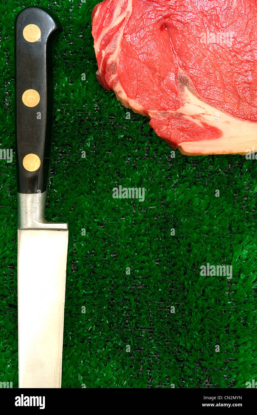 Raw meat and kitchen knife on fake grass Stock Photo Alamy