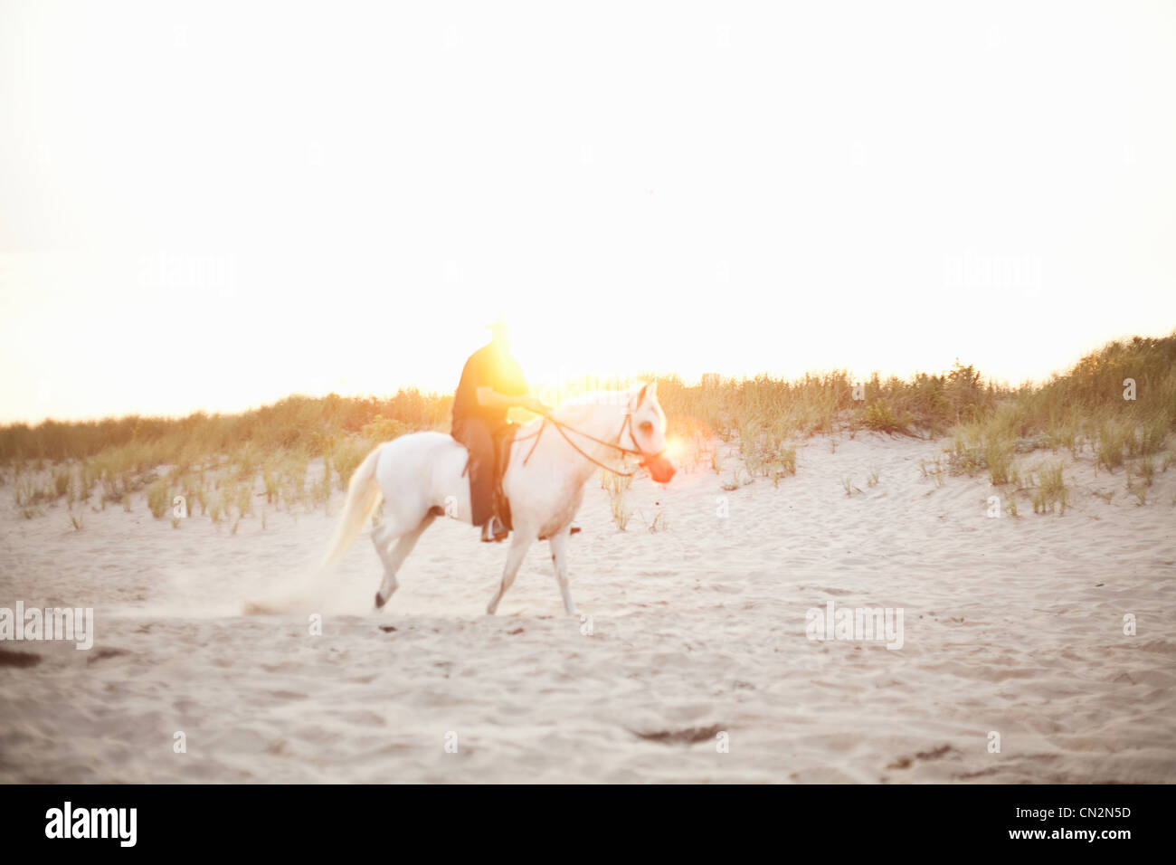 Person horse riding on beach Stock Photo