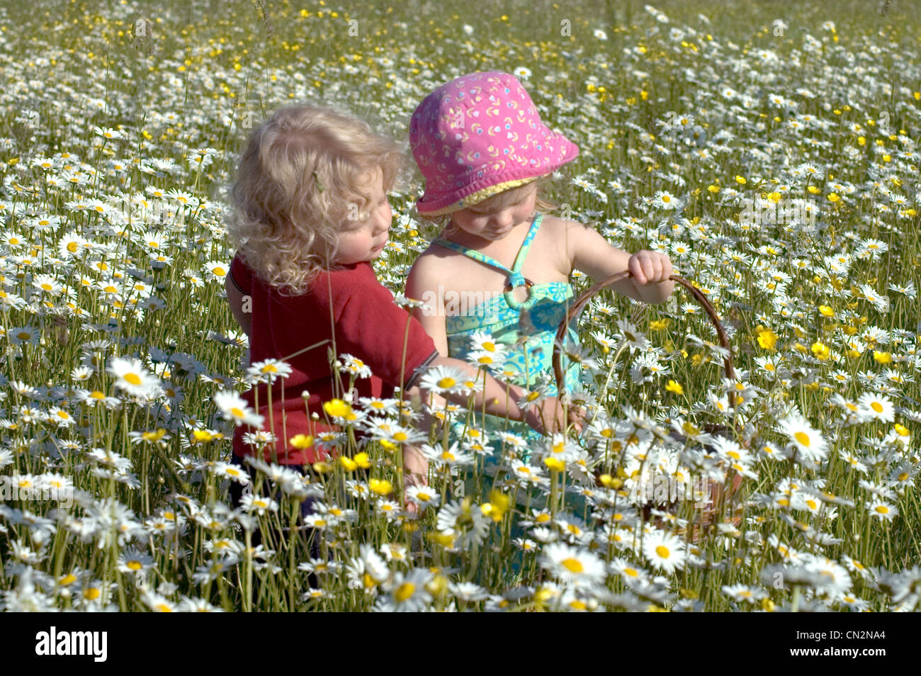 Kids Picking Daisies Stock Photo Alamy