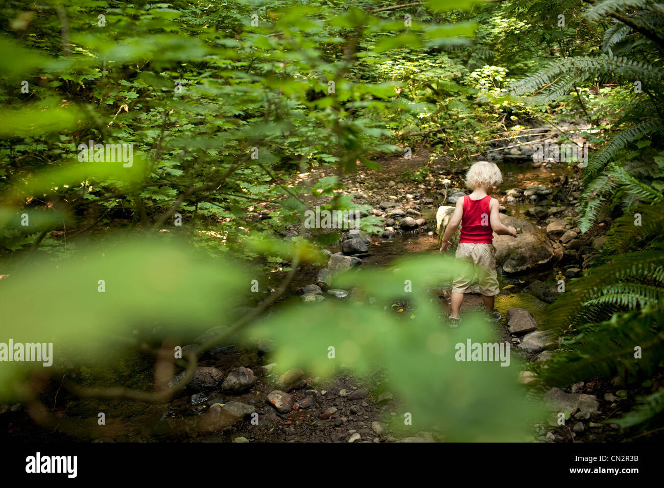 Young Boy Walking Through Forest Stock Photo Alamy