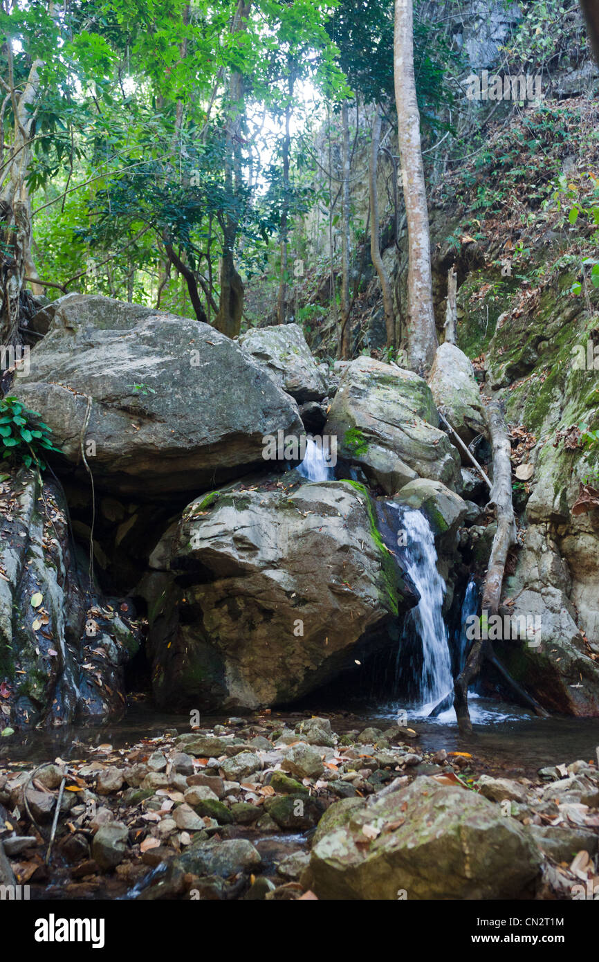 small waterfall cascade in the stream in northern thailand Stock Photo