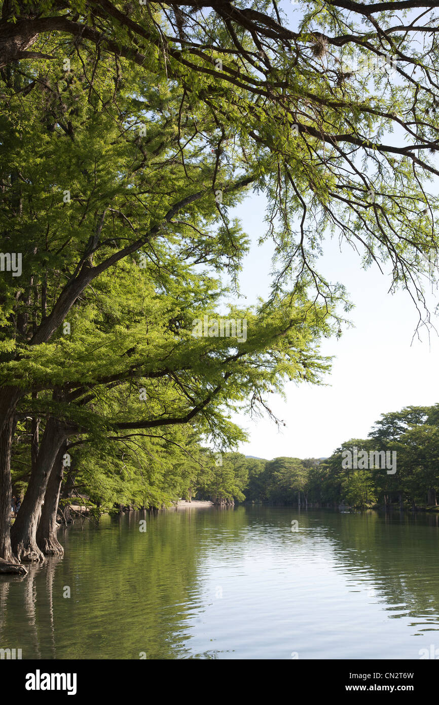 Large Trees Along Peaceful River, Texas, USA Stock Photo Alamy