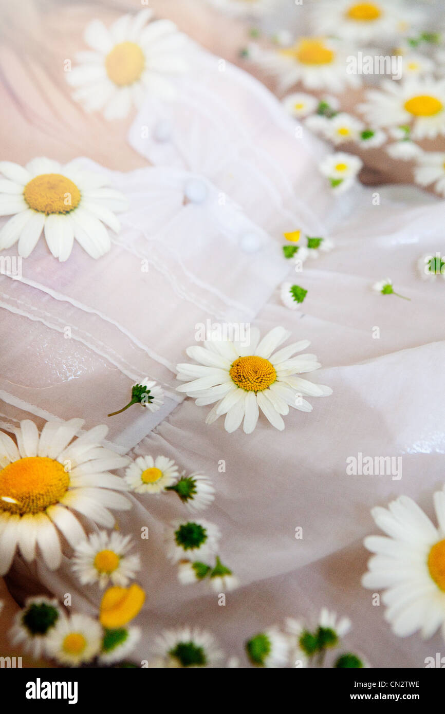 Woman in water with daisies floating on surface Stock Photo - Alamy