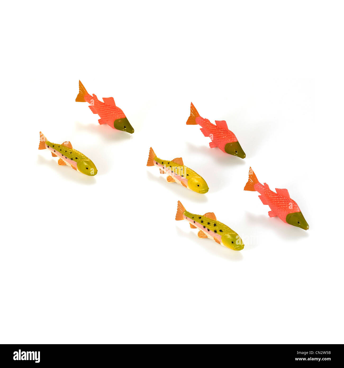 Download Plastic Fish Toy High Resolution Stock Photography And Images Alamy Download Plastic Fish Toy High Resolution Stock Photography And Images Alamy