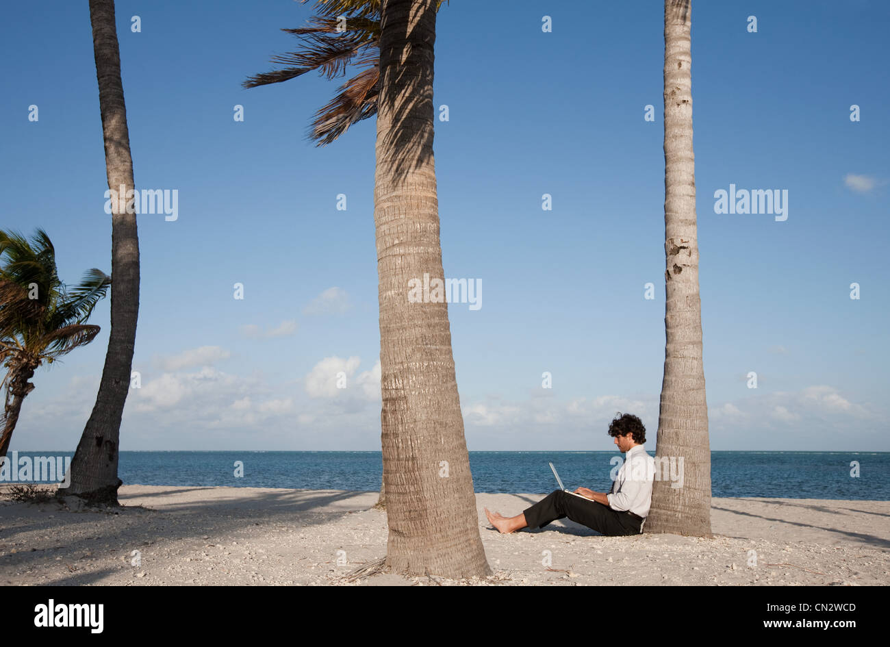Businessman sitting by palm tree on beach using laptop Stock Photo