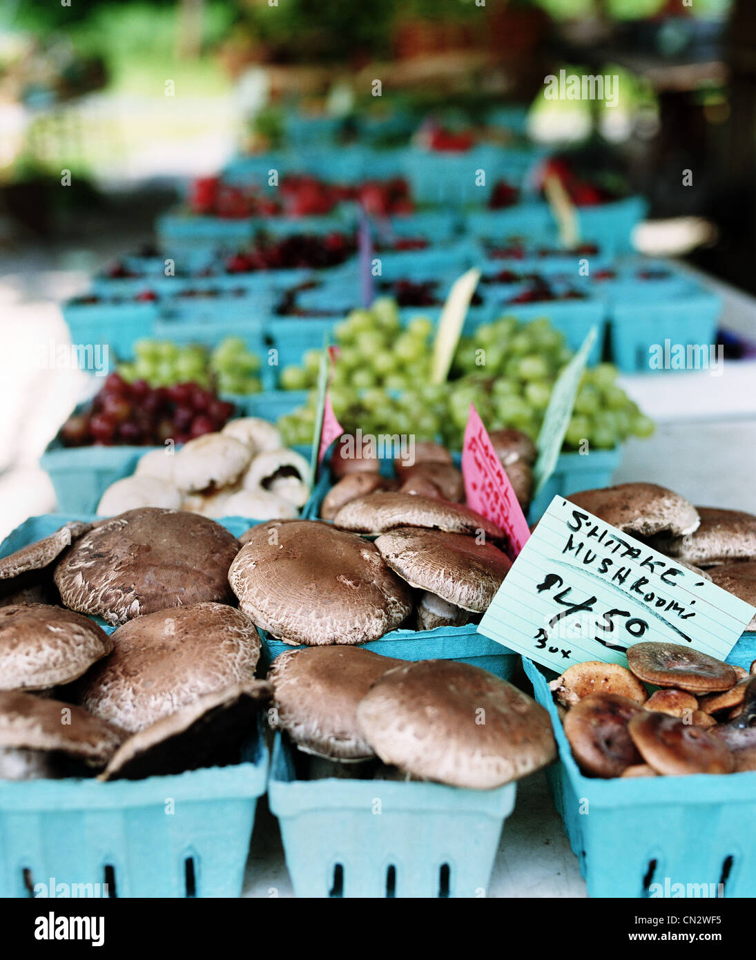 Mushrooms on market stall Stock Photo