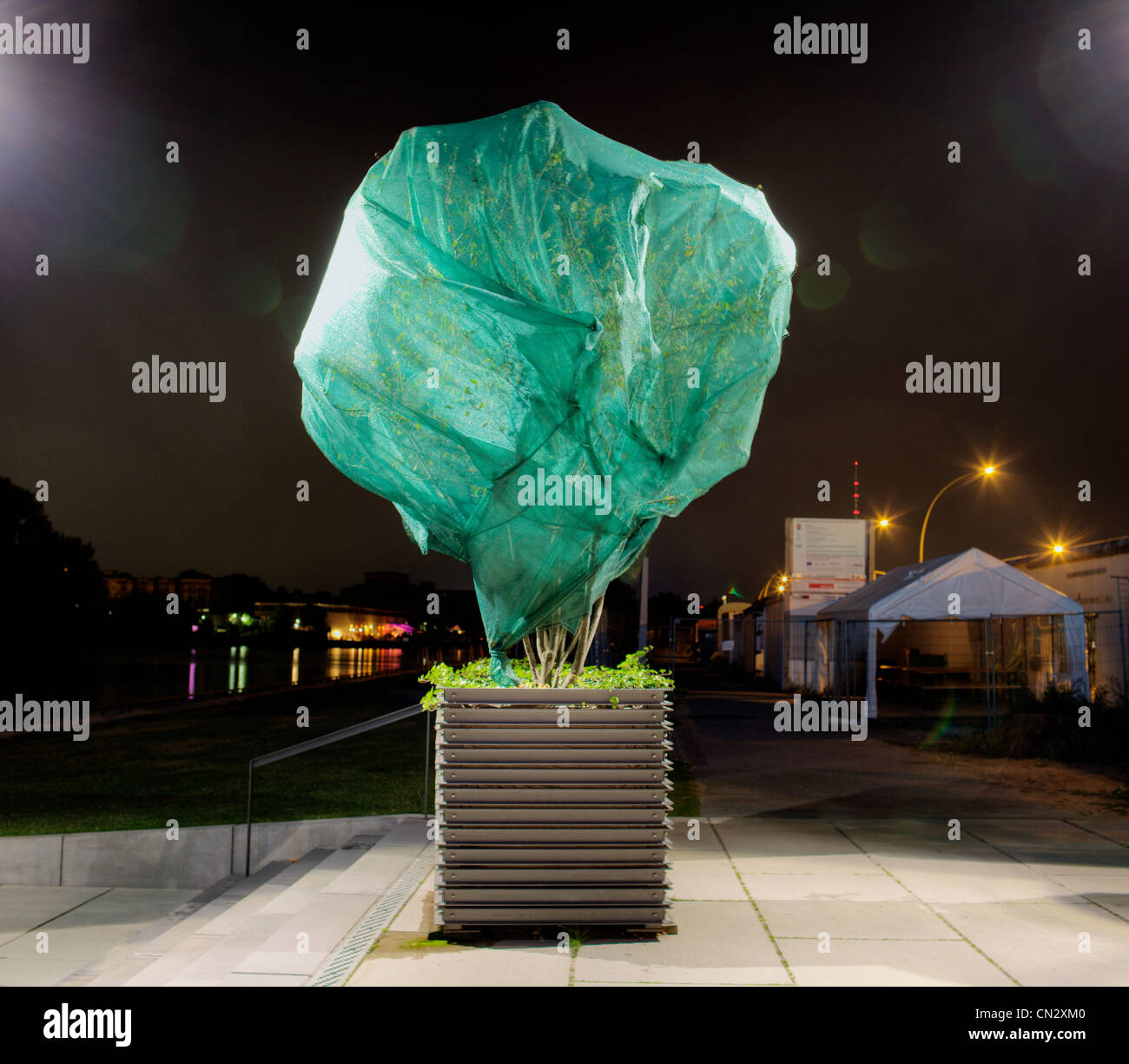 Tree wrapped in plastic Stock Photo Alamy