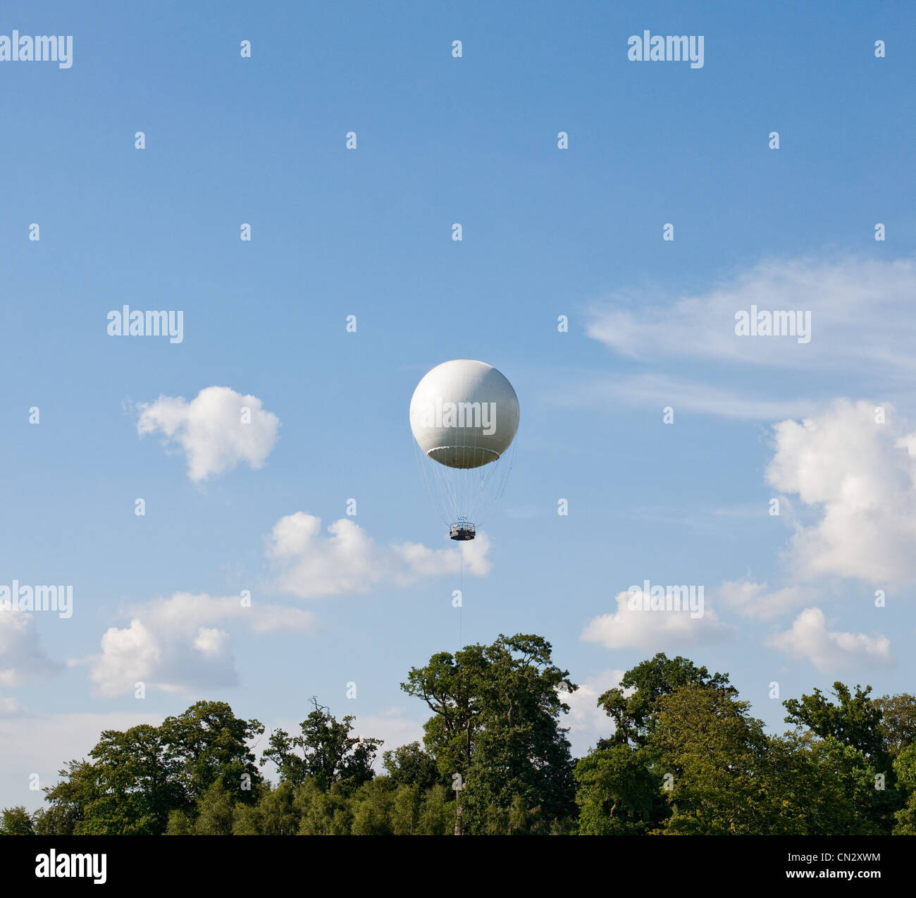 White hot air balloon above trees Stock Photo