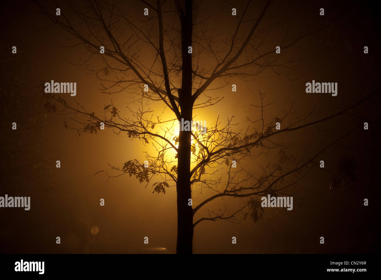 Rmshowreel High Resolution Stock Photography and Images - Alamy