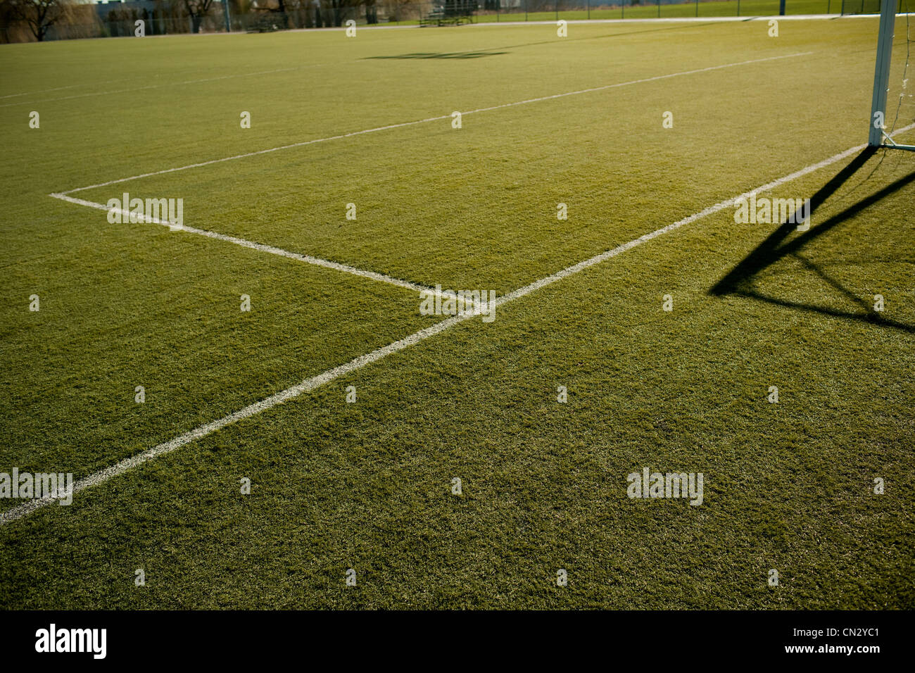 Line markings on football pitch Stock Photo Alamy