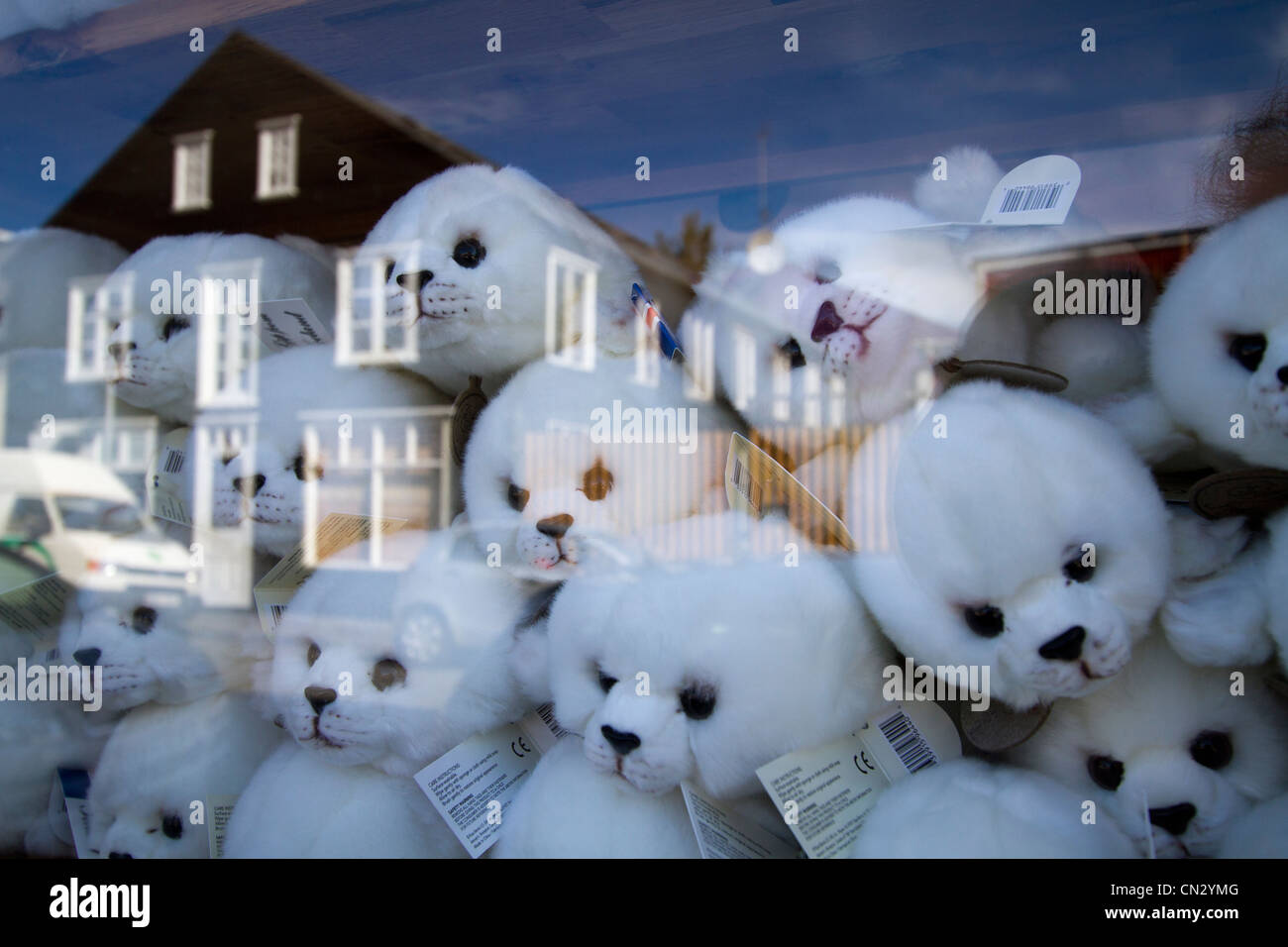 Iceland, Reykjavik, baby's cuddly toys seals in the front window of a