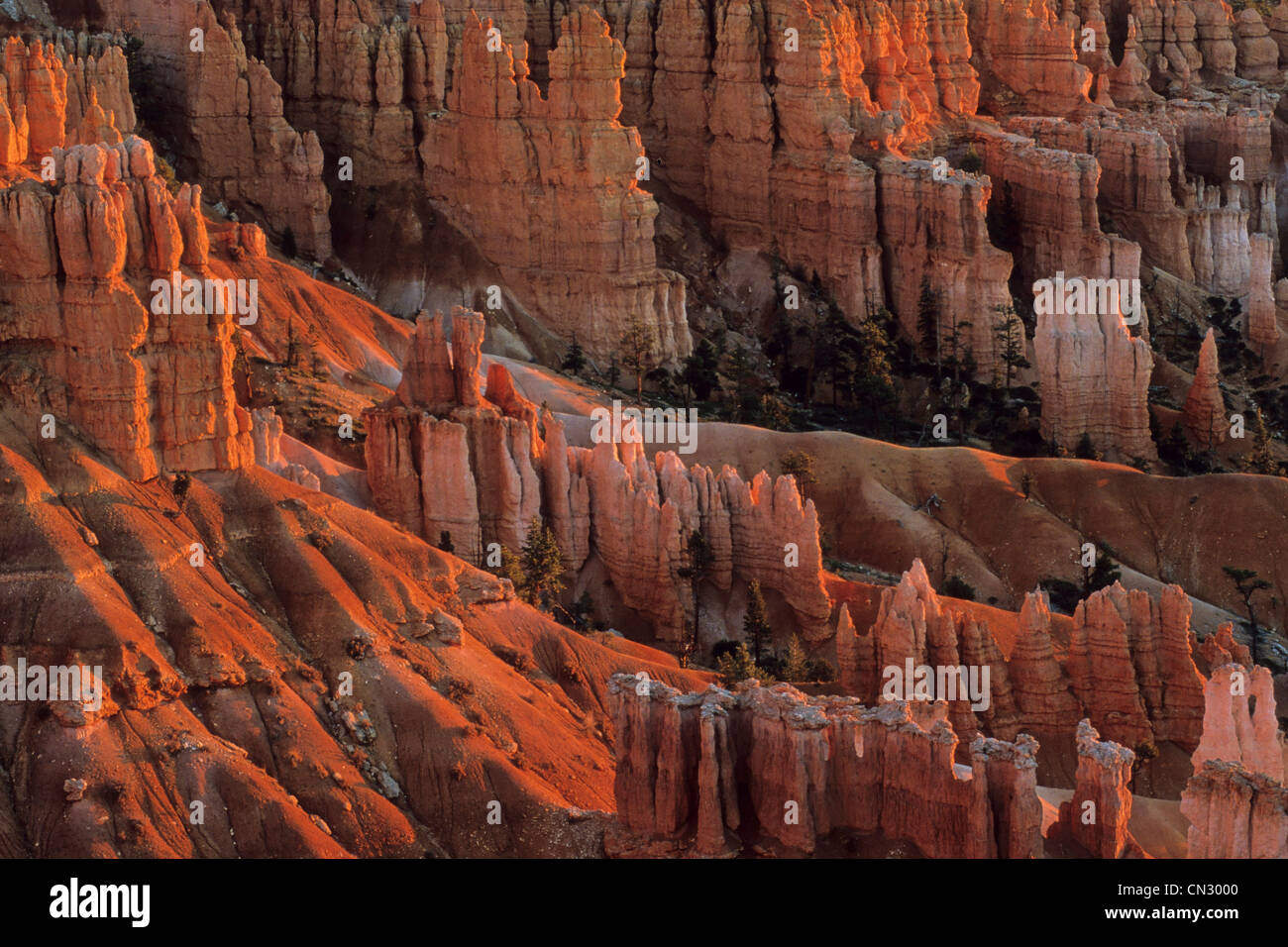 United States, Utah, Bryce Canyon National Park, the geologic formation Stock Photo