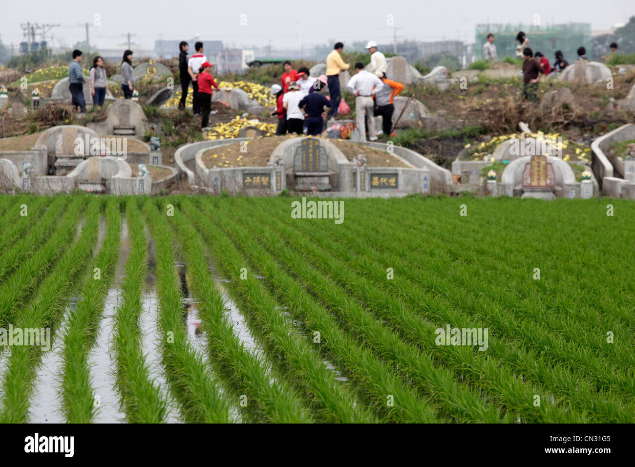 Ching Ming Festival Stock Photo Alamy