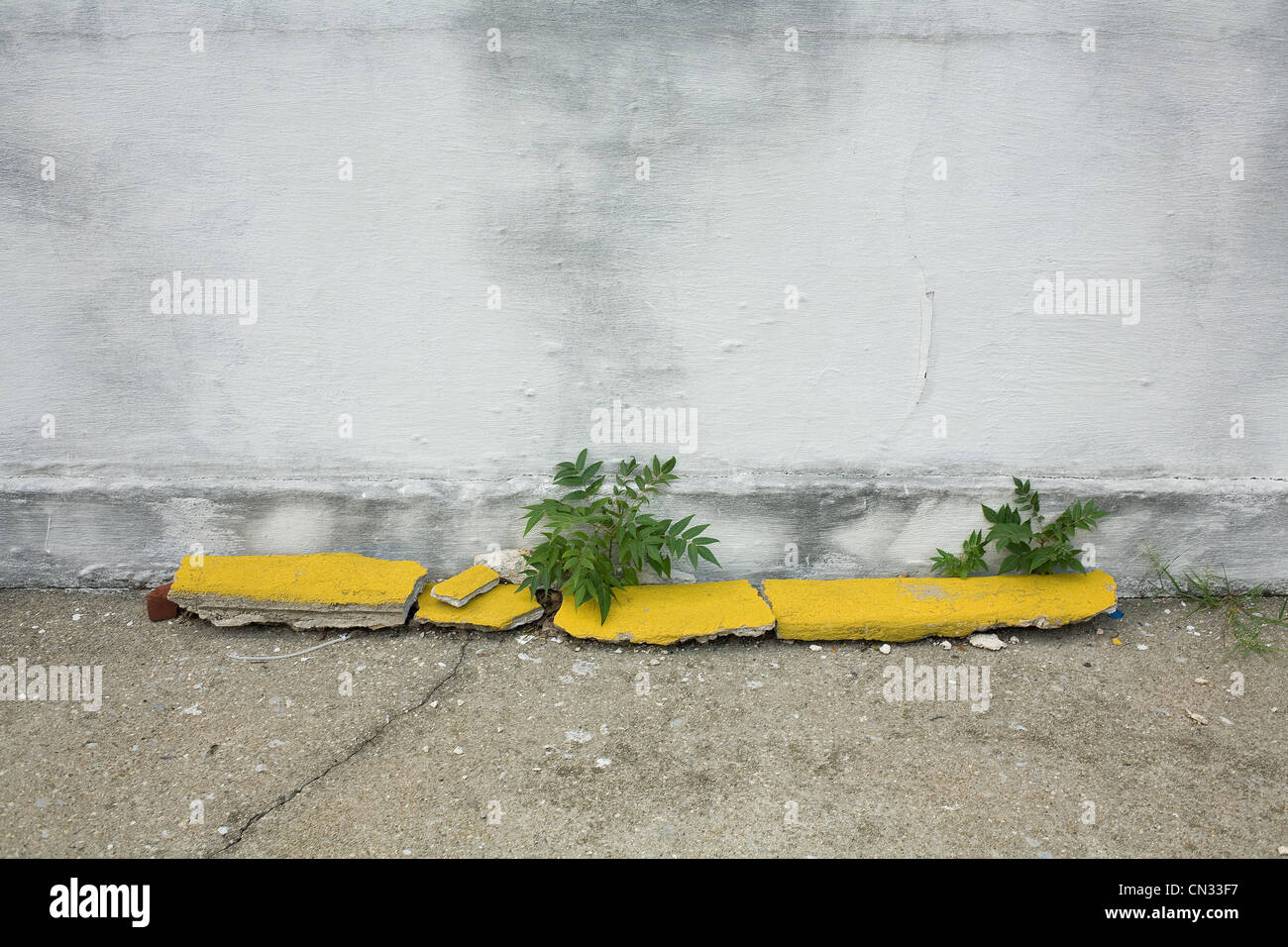 Concrete wall with weeds hi-res stock photography and images - Alamy