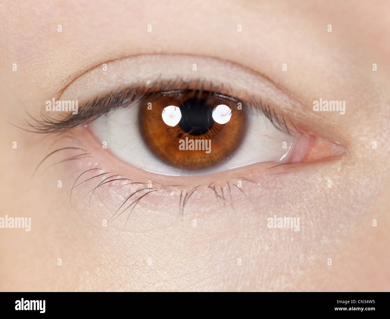 Brown eye Stock Photo