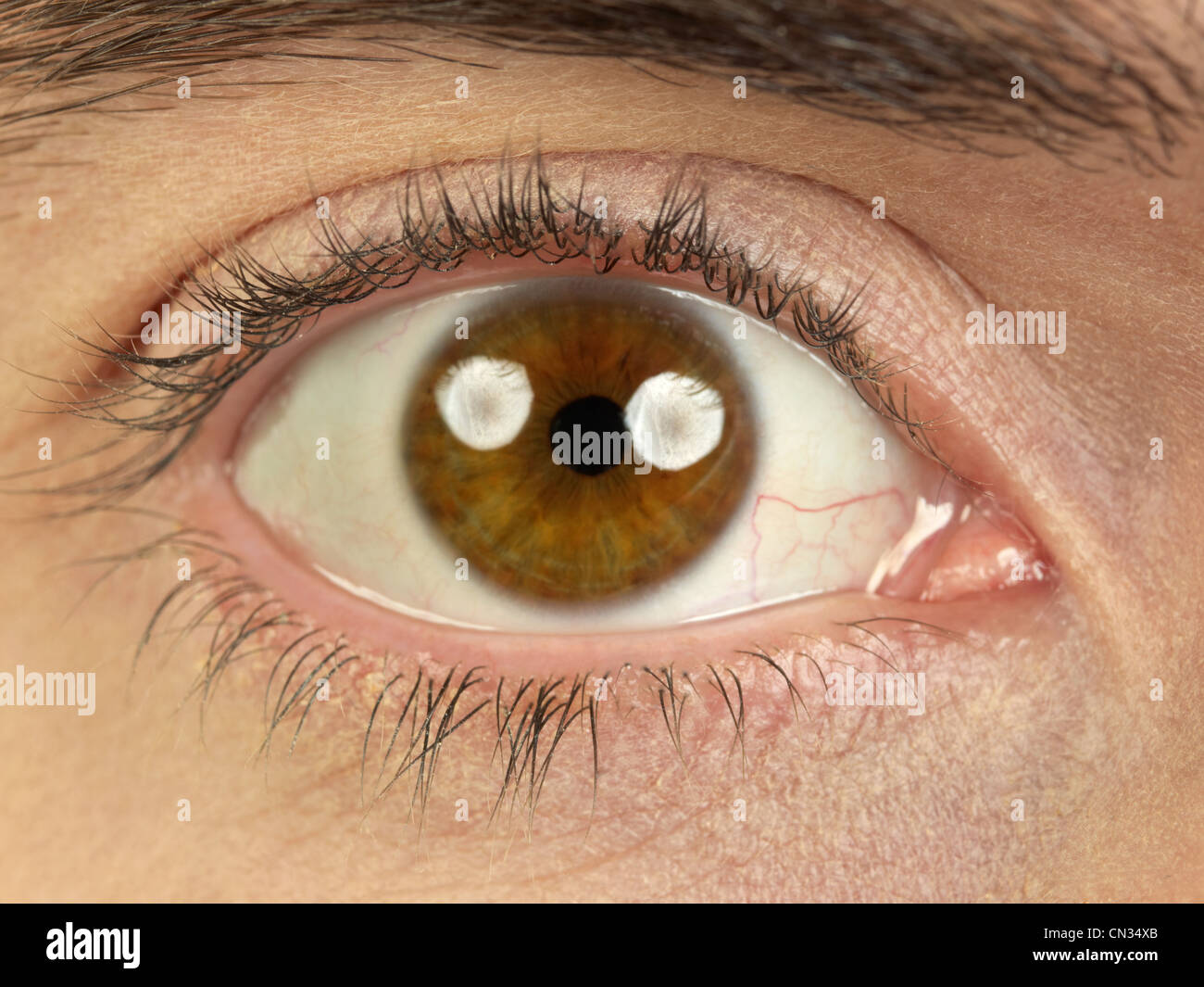 Brown eye Stock Photo