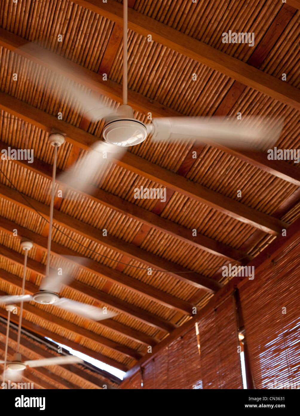 Ceiling fans Stock Photo