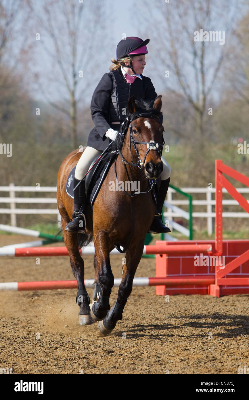 A horse and rider competing in a show jumping event held outside on a ...
