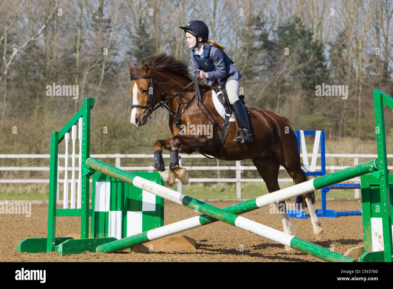 A horse and rider competing in a show jumping event held outside on a ...