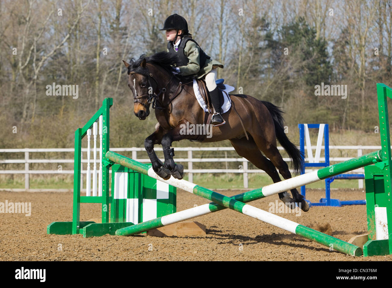 A horse and rider competing in a show jumping event held outside on a ...