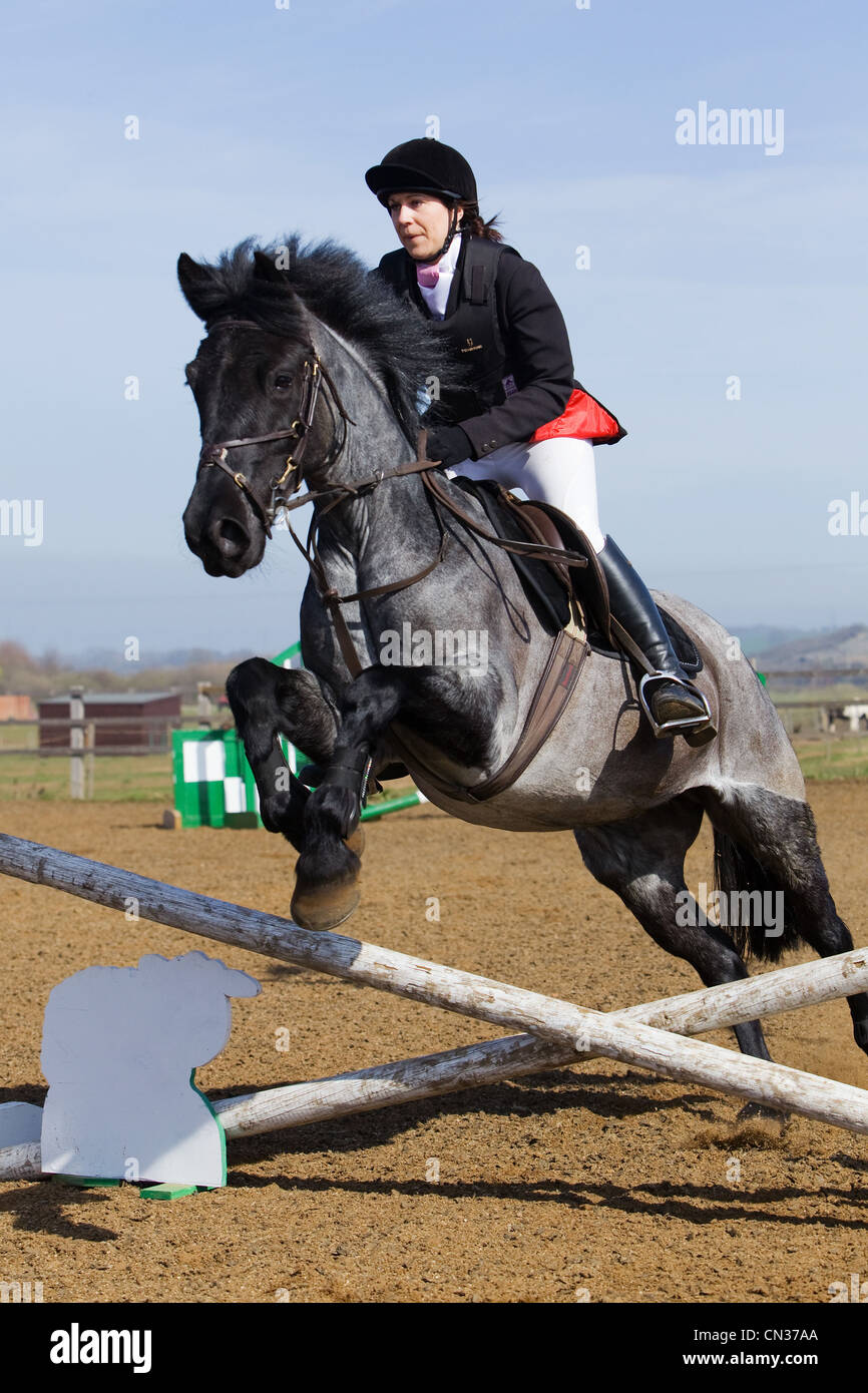 A horse and rider competing in a show jumping event held outside on a ...
