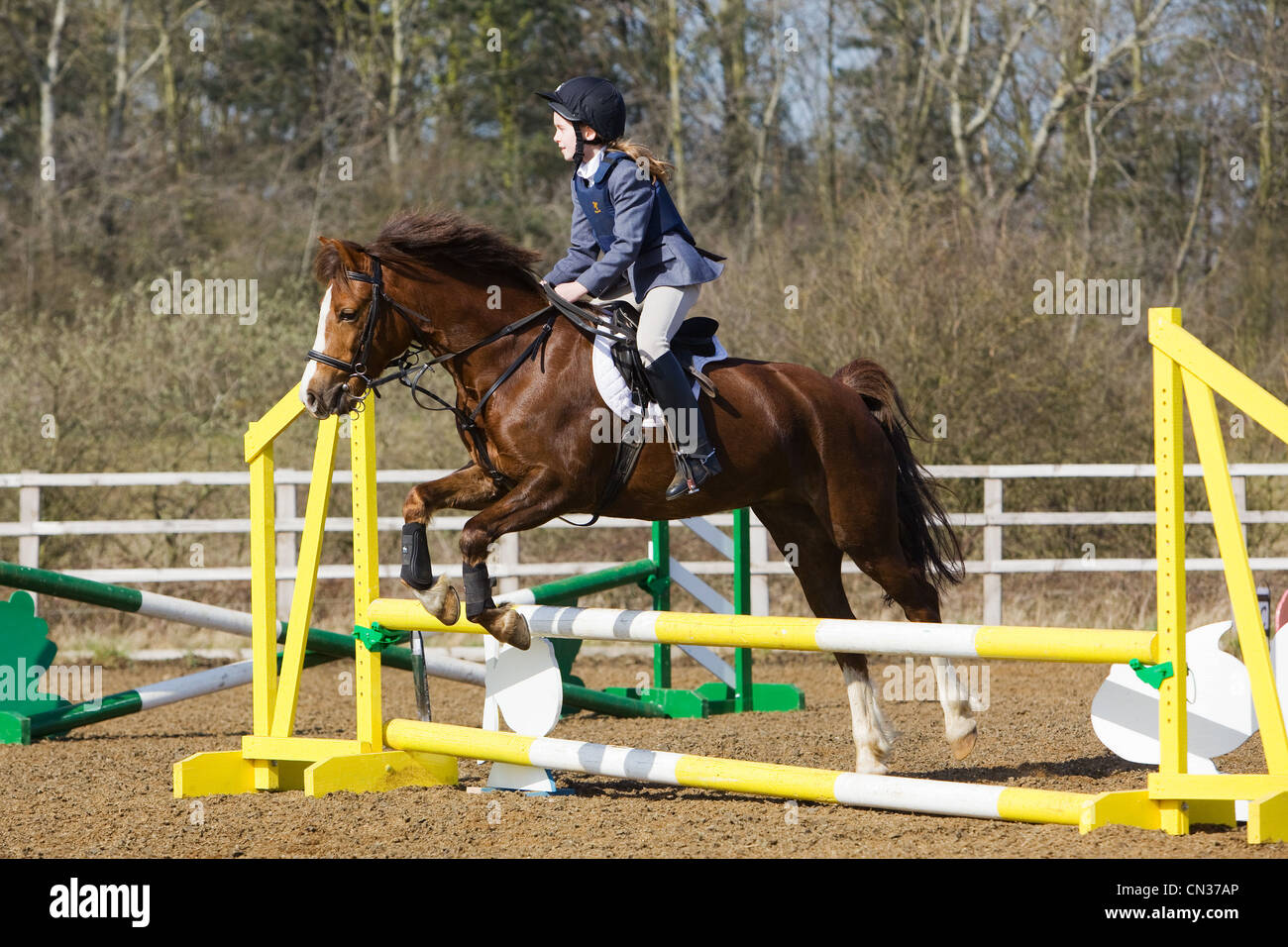 A horse and rider competing in a show jumping event held outside on a ...