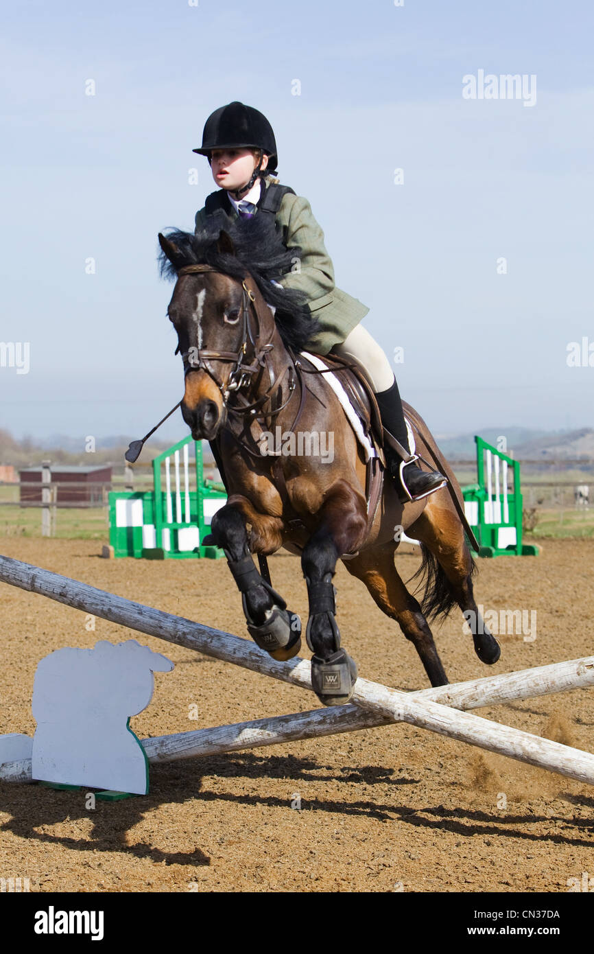A horse and rider competing in a show jumping event held outside on a ...