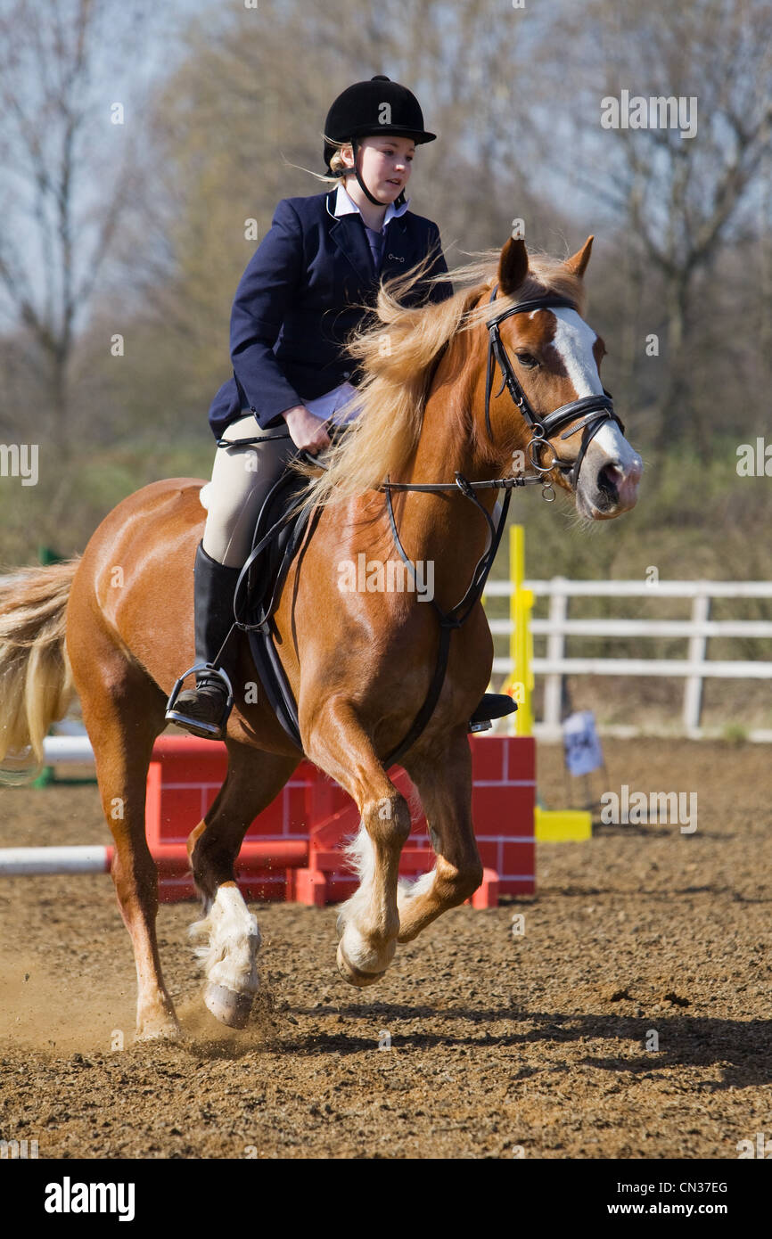 A horse and rider competing in a show jumping event held outside on a ...