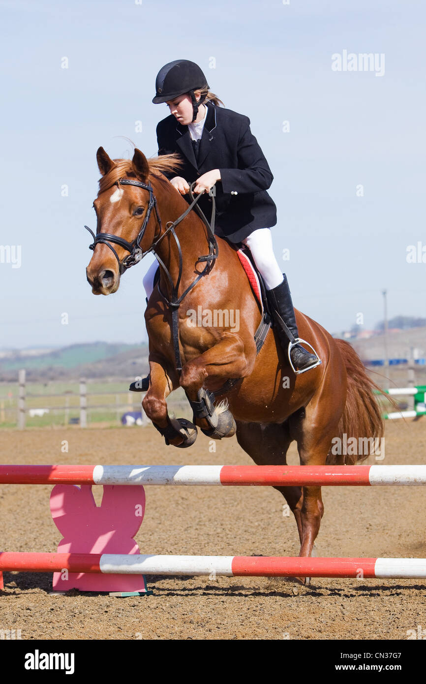 A horse and rider competing in a show jumping event held outside on a ...