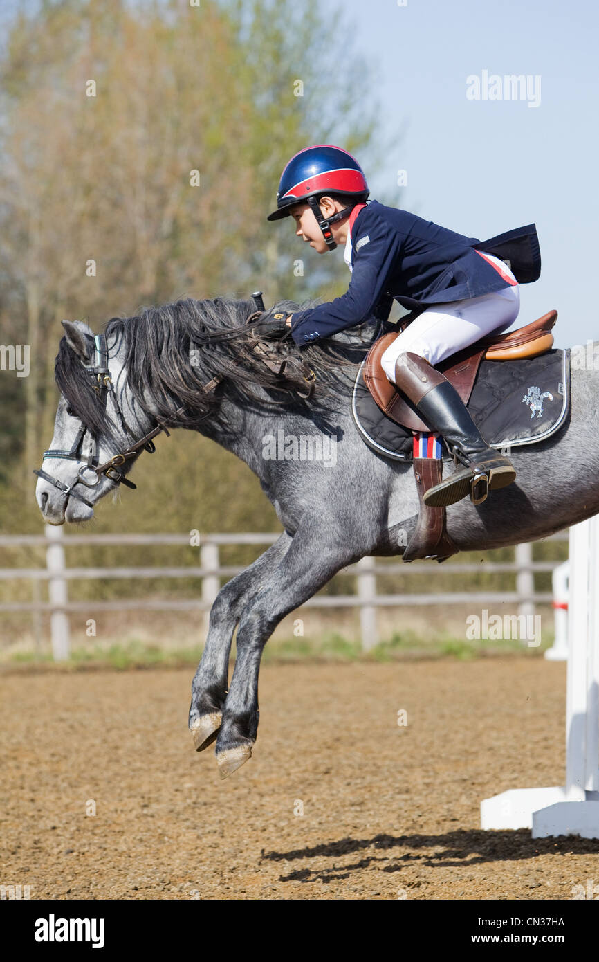 A horse and rider competing in a show jumping event held outside on a ...