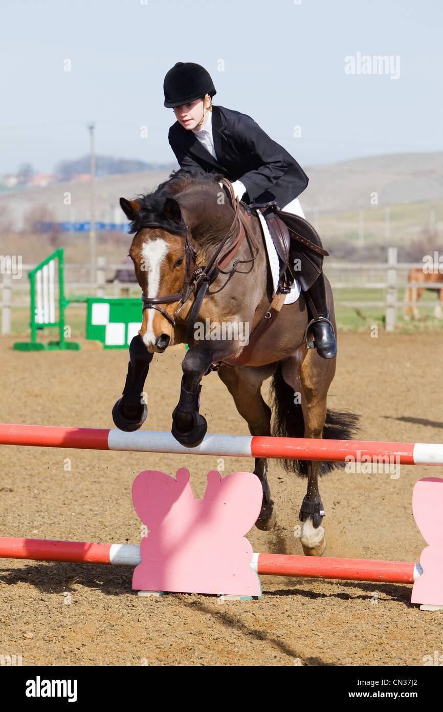 A horse and rider competing in a show jumping event held outside on a ...