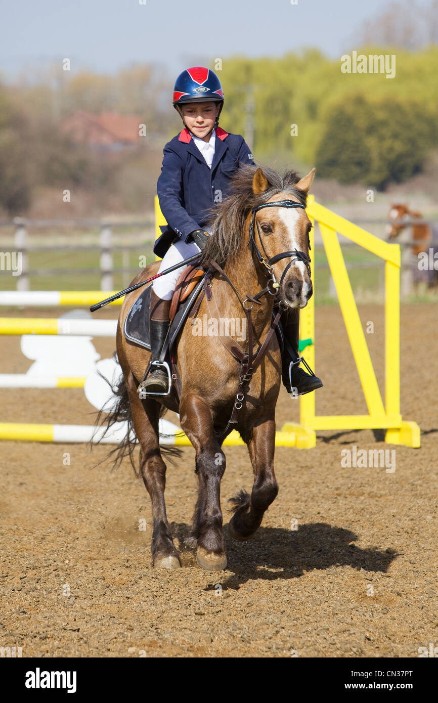 A horse and rider competing in a show jumping event held outside on a ...