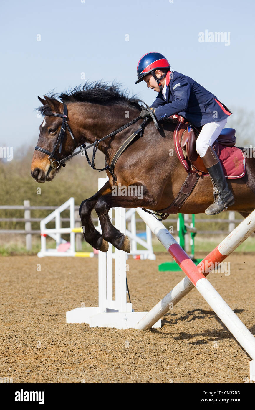 A horse and rider competing in a show jumping event held outside on a ...