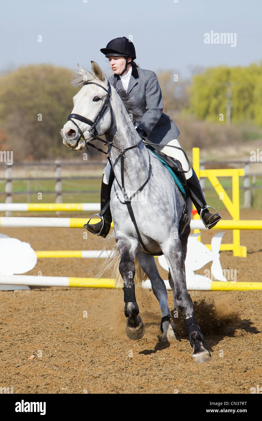 A horse and rider competing in a show jumping event held outside on a ...
