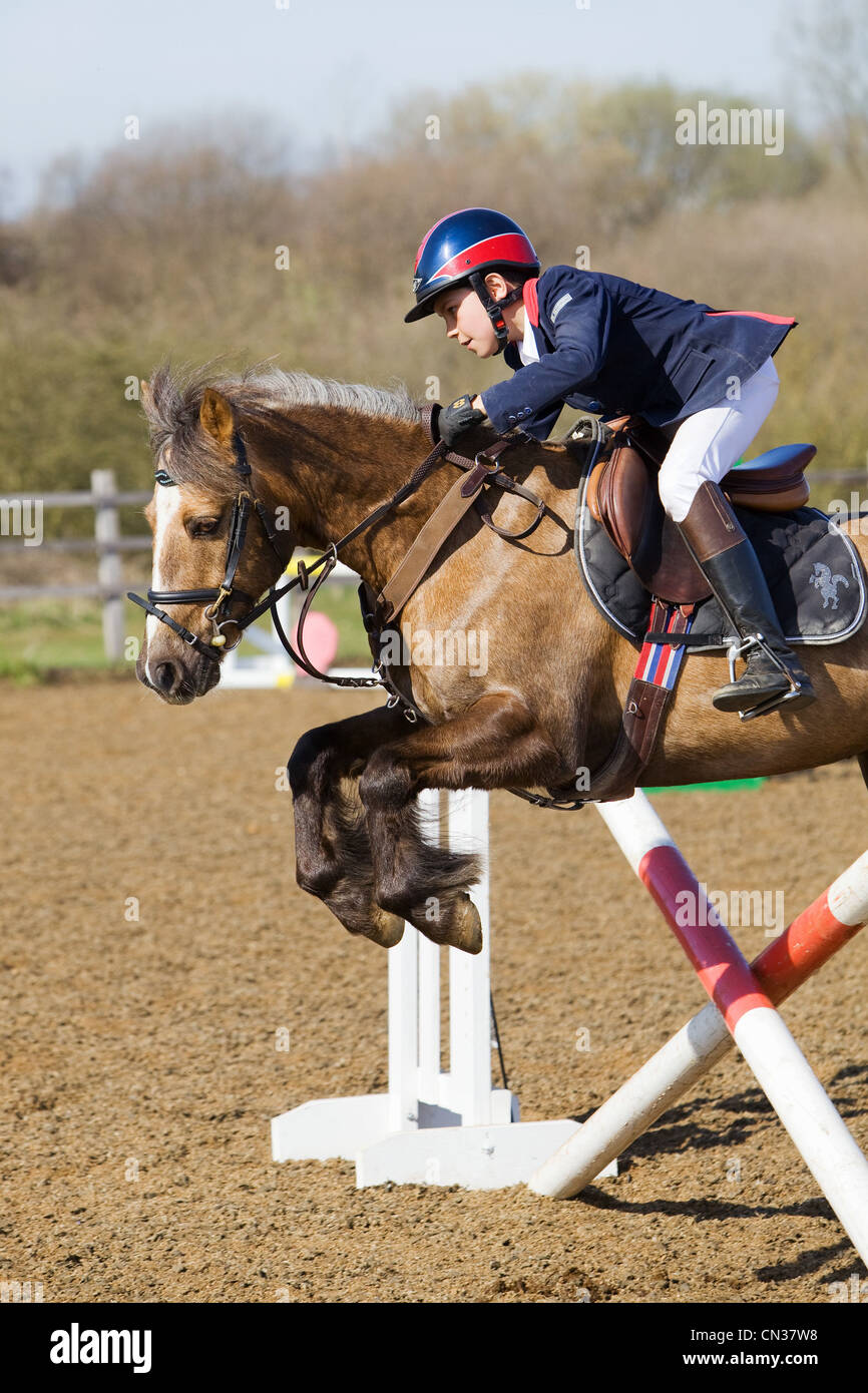 A horse and rider competing in a show jumping event held outside on a ...