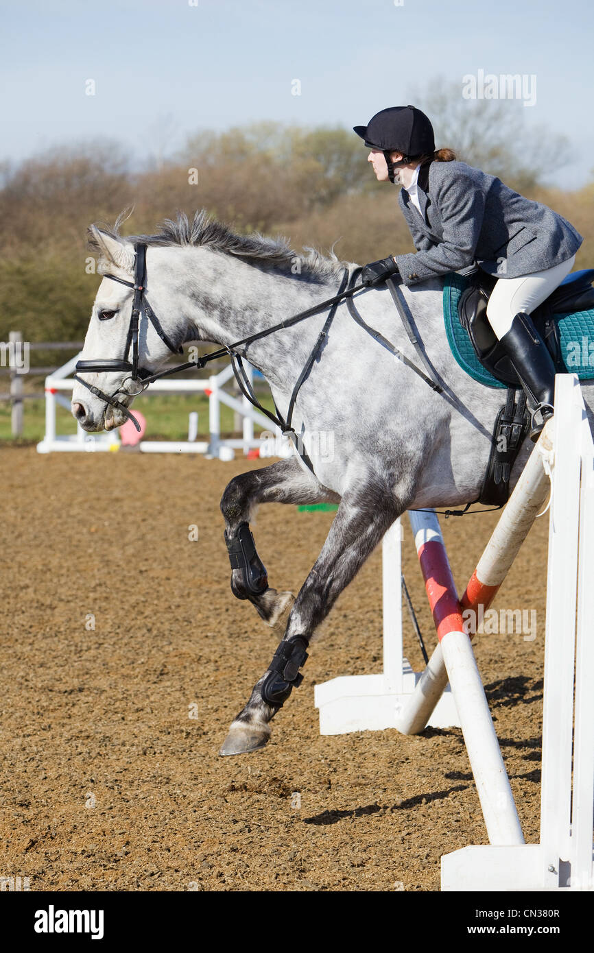 A horse and rider competing in a show jumping event held outside on a ...