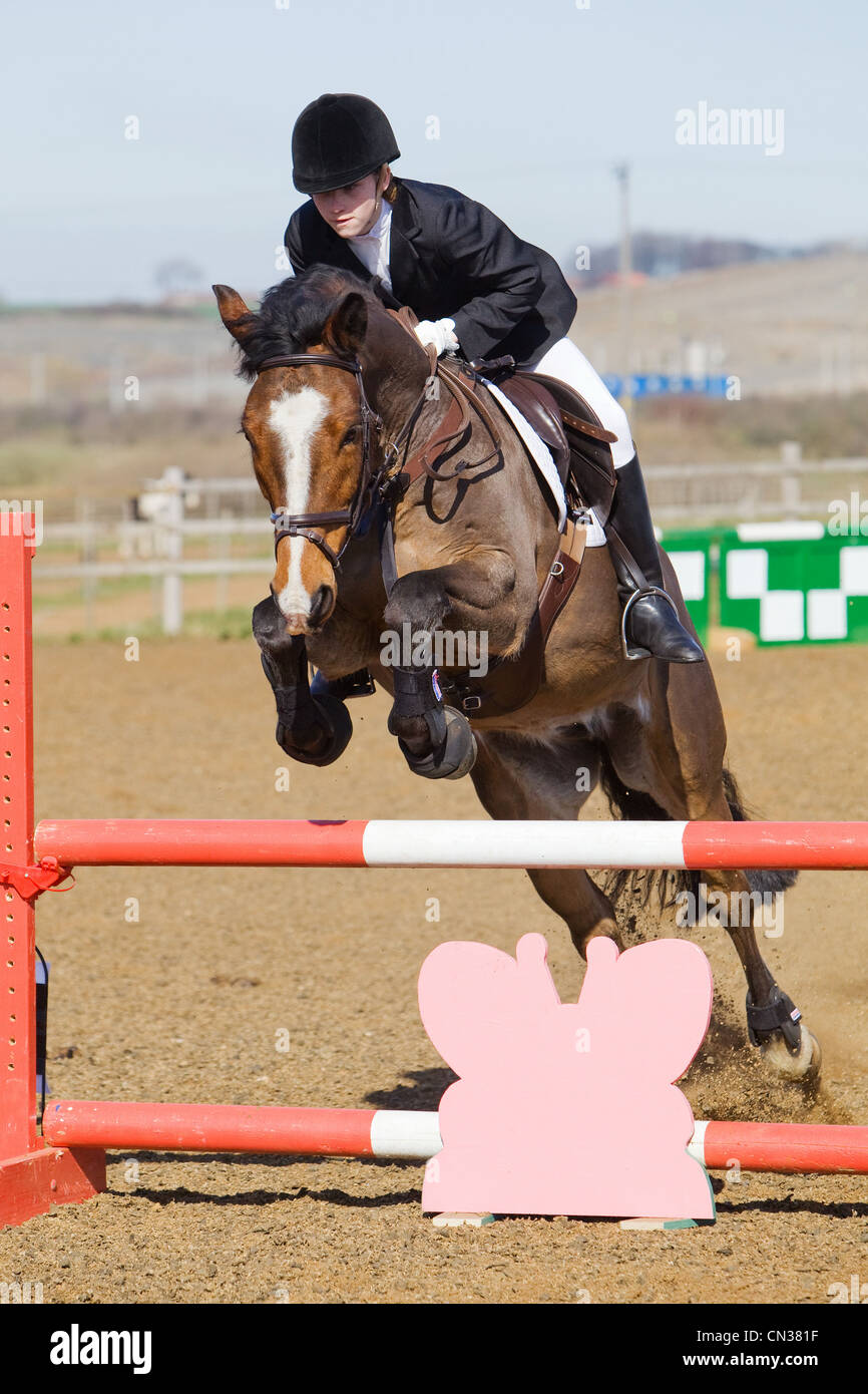 A horse and rider competing in a show jumping event held outside on a ...